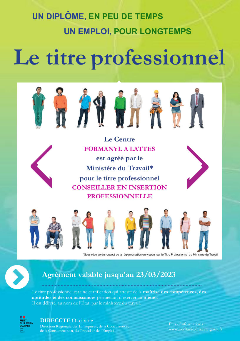 Conseiller En Insertion Professionnelle Cip Formanyl